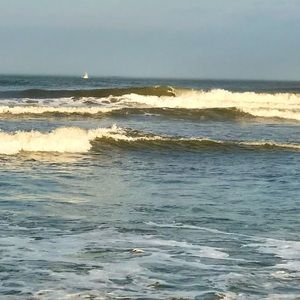 Meet your Posher, Jade